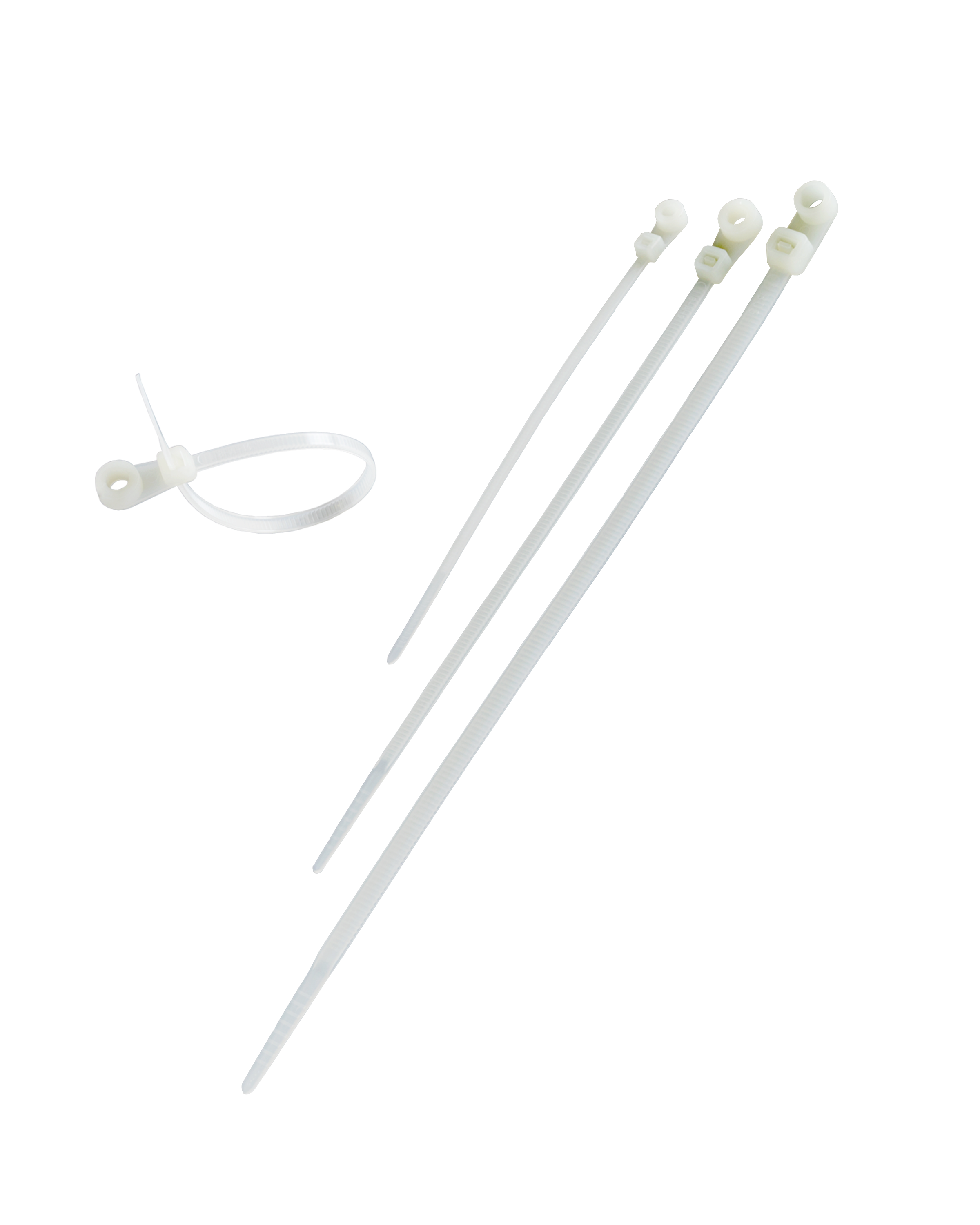 Screw Mounting Cable Ties